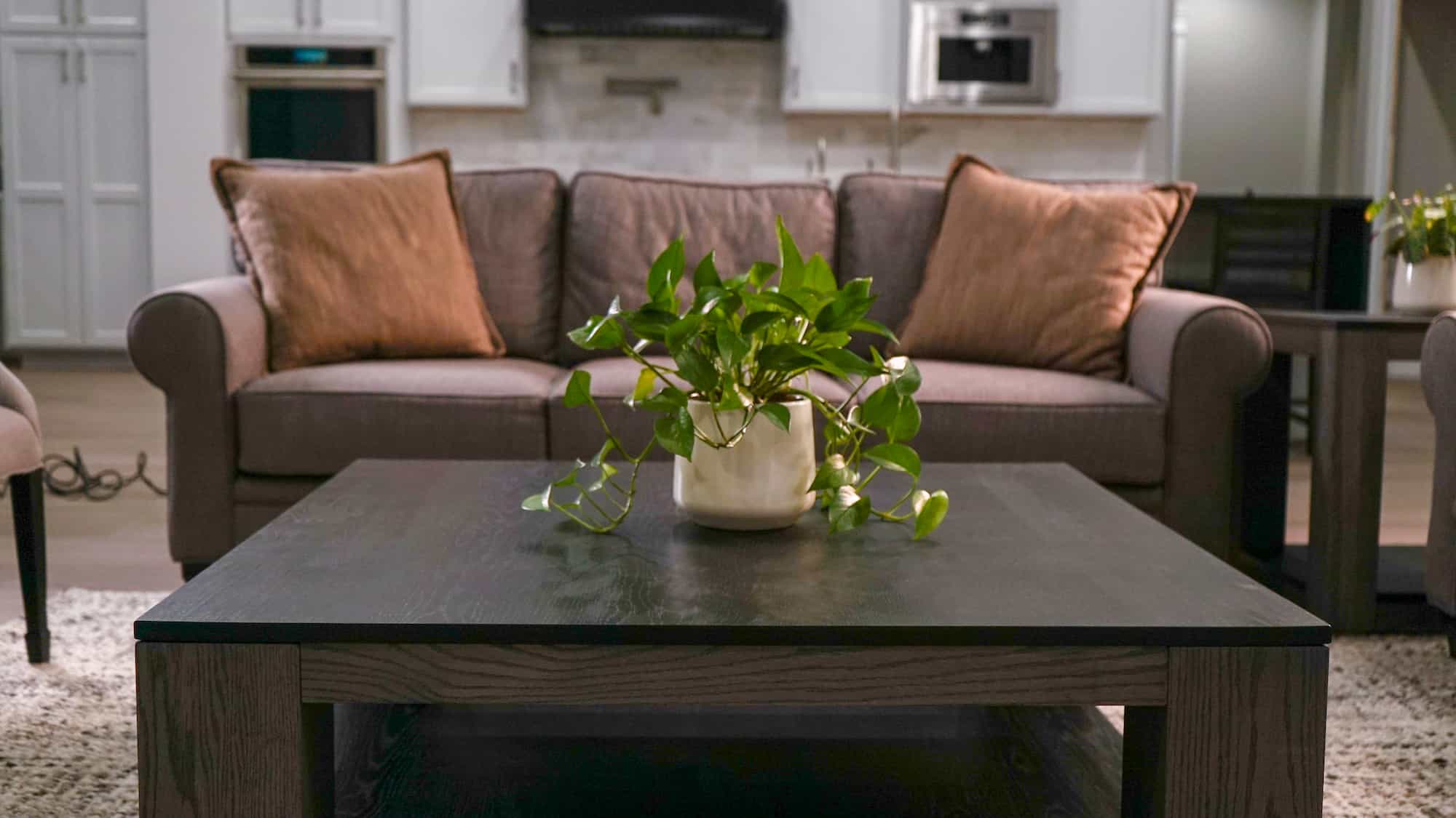 A House Full of Furniture