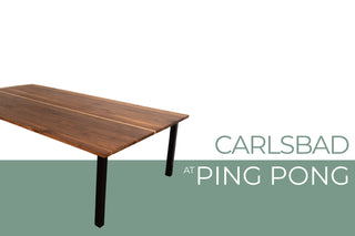 Carlsbad Steel Base Ping Pong Table
