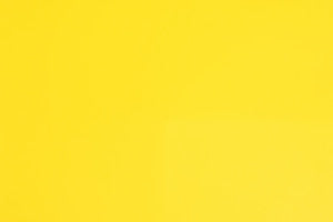 Faux Leather Lemon