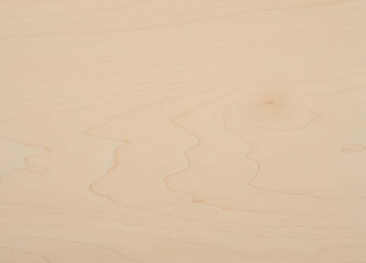 Rock Maple Super White W